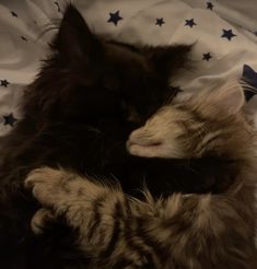 a black and white cat laying on top of a bed next to a stuffed animal