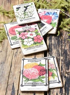 four coasters with different flowers on them sitting on a wooden table next to plants