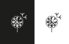 two different types of snowflakes are shown in black and white, one has an arrow