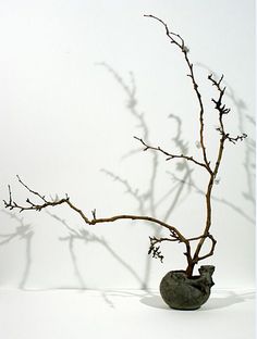 a small bird sitting on top of a rock next to a tree branch with no leaves