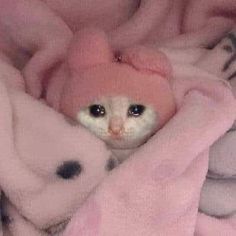 a small white cat wearing a pink hat on top of a bed covered in blankets