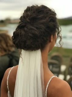 the back of a woman's head wearing a veil