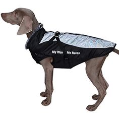 a dog wearing a reflective jacket with the words my work my rules printed on it