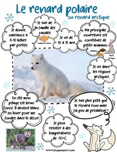 a poster with an image of a polar bear and other animals in the snow on it