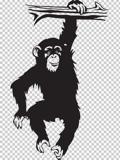 a black and white monkey hanging on to a tree branch with a wrench in it's hand