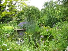 a pond surrounded by lush green trees and flowers