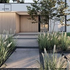 the front entrance to a modern home surrounded by grass and trees