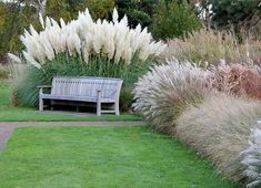 a wooden bench sitting in the middle of a lush green field next to tall grass