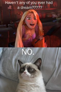 No dream for grumpy cat Grumpy Cat Disney, Grump Cat, Grumpy Cat Meme, Cat Humor, Cat Jokes, Cute Animal Memes, Humor Mexicano