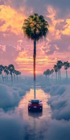 a car is driving through the clouds with a palm tree in the background at sunset