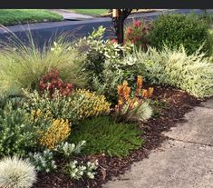 a bunch of plants that are by the side of the road in front of a fire hydrant