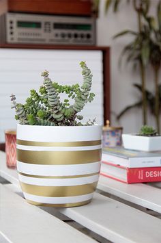 a potted plant sitting on top of a white table