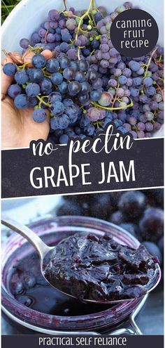 grapes in a bowl with the words no peceln grape jam