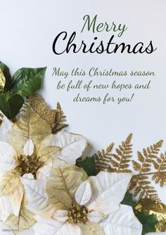 merry christmas card with poinsettis and gold foil leaves on white background, text reads may this christmas season be full of new hopes and dreams for you