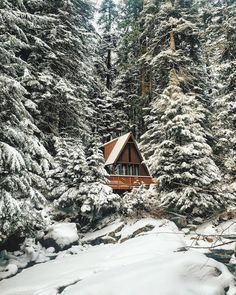 a cabin nestled in the woods with snow on the ground and pine trees around it