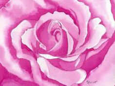 a painting of a pink rose with white petals