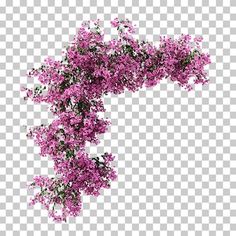 purple flowers on a white background with no image in the bottom right corner, but it is