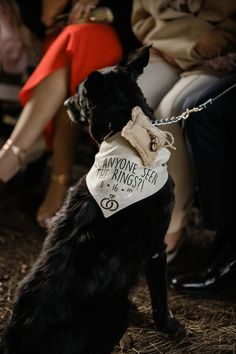 a black dog with a white bandana around it's neck sitting on hay