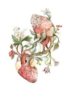 an illustration of the human heart and flowers