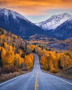 an empty road surrounded by mountains and trees with yellow leaves on the ground in autumn