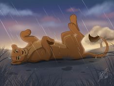 a lion laying on its back in the rain