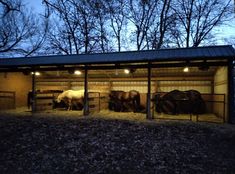 three horses are standing in their stalls at night