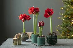 three vases with flowers in them sitting on a table next to a christmas tree