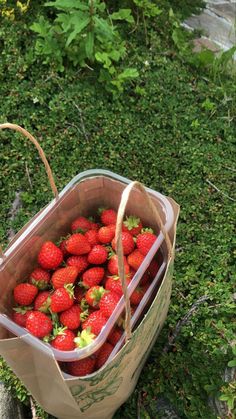 a bag full of strawberries sitting on the ground