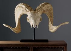 an animal skull with large horns on a stand in front of a gray wall and grey background