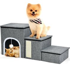 a small dog sitting on top of a cat house