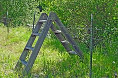 an old wooden ladder leaning against a fence in the middle of some grass and trees