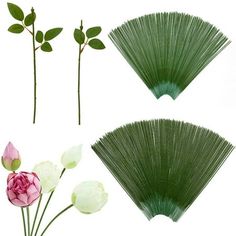 three different types of flower stems with flowers in the middle one is green and the other two are pink