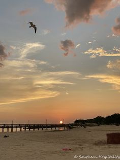 a bird flying in the air over a sandy beach at sunset with a pier in the background