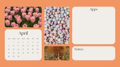 a calendar with pictures of flowers and eggs