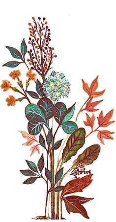 a drawing of flowers and leaves on a white background