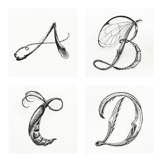 four different types of monograms with the letter b in each one's letters