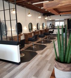 a hair salon with chairs and plants in the middle of the room, along with mirrors on the wall