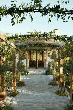 an outdoor patio with stone walkway and potted plants on either side, surrounded by greenery