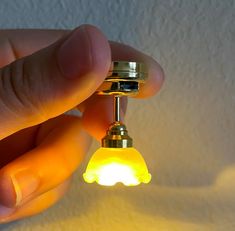 a person is holding a small light bulb in their left hand, with the light turned on