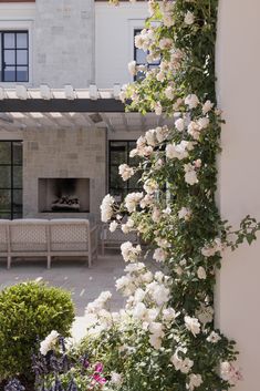 white roses growing on the side of a building near a patio with chairs and table