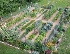 an aerial view of a vegetable garden in the middle of a field with many different types of vegetables