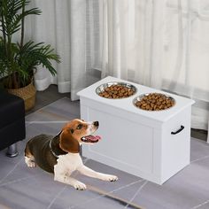 a dog sitting on the floor next to his food bowl