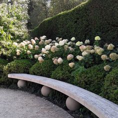 a wooden bench sitting next to a lush green hedge covered hillside with white and pink flowers