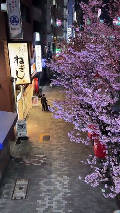 purple flowers are blooming on the trees in this city street at night time, with people walking down the sidewalk