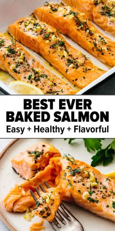 salmon fillets on a white plate with a fork and text overlay that reads best ever baked salmon easy + healthy + flavorful