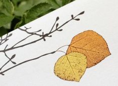 an image of a leaf and its shadow on a paper with leaves in the background