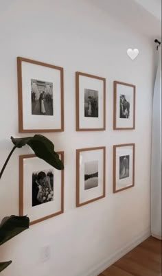 a white wall with pictures hanging on it and a plant in the corner next to it