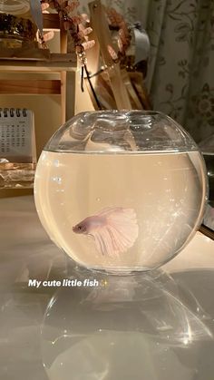 a fish in a bowl sitting on top of a table