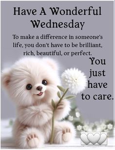 a white teddy bear holding a flower in front of a quote that says, have a wonderful wednesday to make a difference in someone's life, you don't have to be brilliant