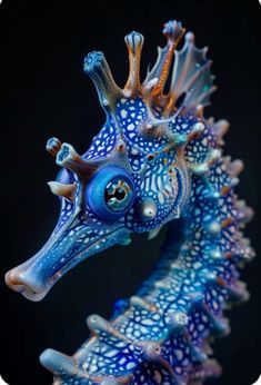 a close up of a blue sea horse on a black background with its head turned to the side